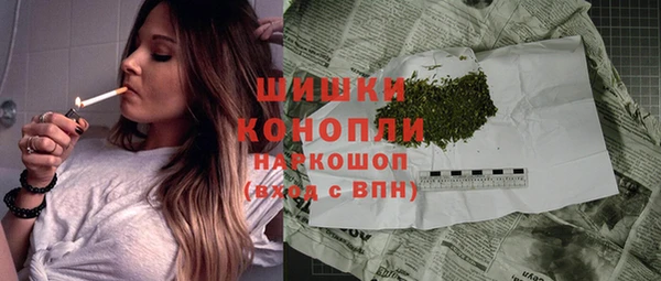 ешки Арсеньев