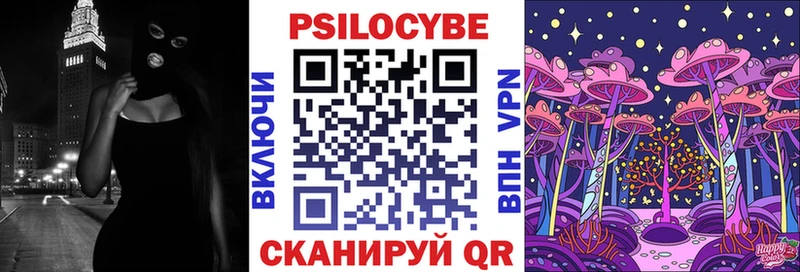 сколько стоит  Артёмовский  Псилоцибиновые грибы Psilocybine cubensis 